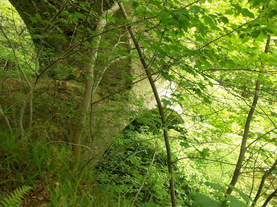 Craigmin Bridge